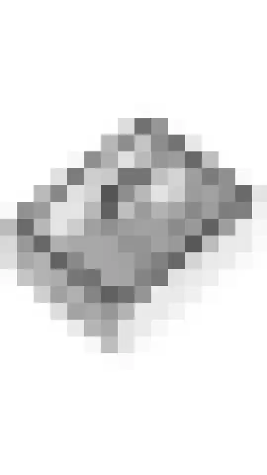 Deilsedijk 4 Deil thumbnail 51