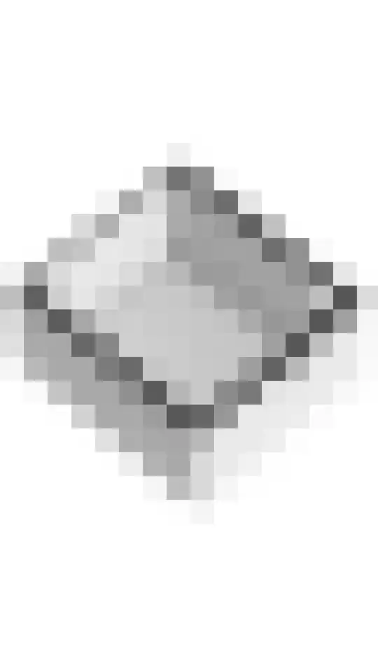 Deilsedijk 4 Deil thumbnail 53