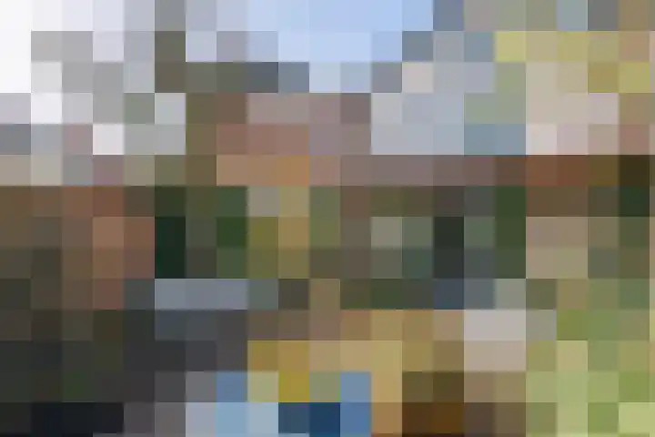 Deilsedijk 4 Deil thumbnail 6