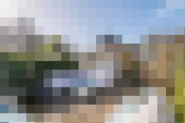 Deilsedijk 4 Deil thumbnail 8
