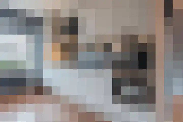 Deining 9 Katwijk thumbnail 13