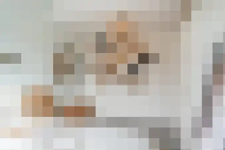 Deining 9 Katwijk thumbnail 20