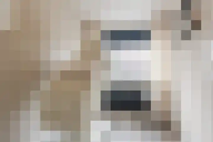 Deining 9 Katwijk thumbnail 21