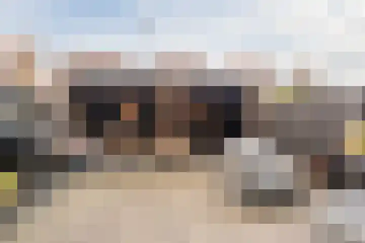 Deining 9 Katwijk thumbnail 34
