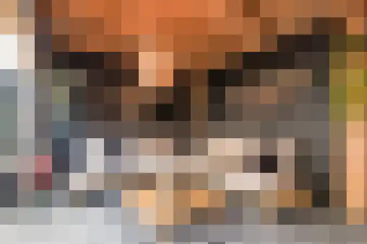 Deining 9 Katwijk thumbnail 36