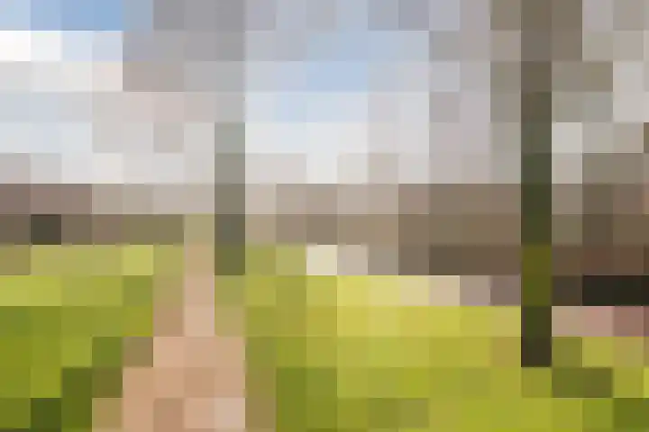 Deining 9 Katwijk thumbnail 41