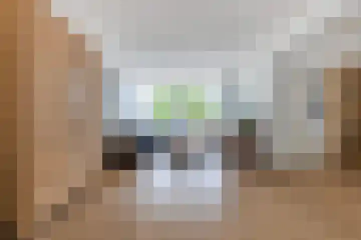 Dekamalaan 10 Sneek thumbnail 12