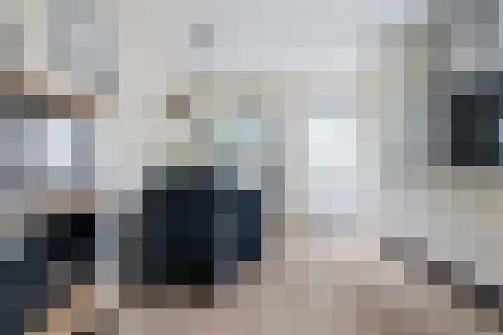 Dekamalaan 10 Sneek thumbnail 16