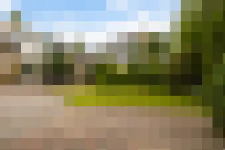 Dekamalaan 10 Sneek thumbnail 39