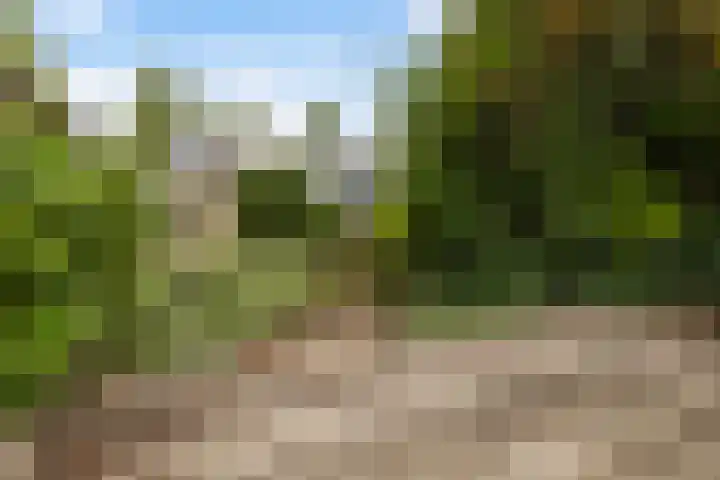 Dekamalaan 10 Sneek thumbnail 43