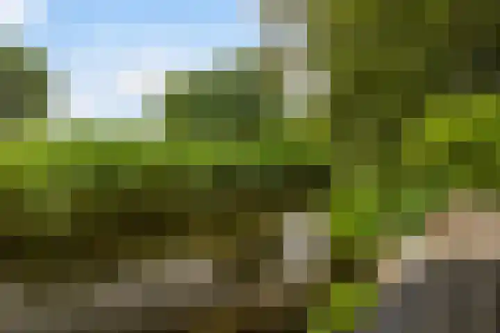 Dekamalaan 10 Sneek thumbnail 46