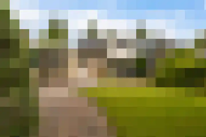 Dekamalaan 10 Sneek thumbnail 5
