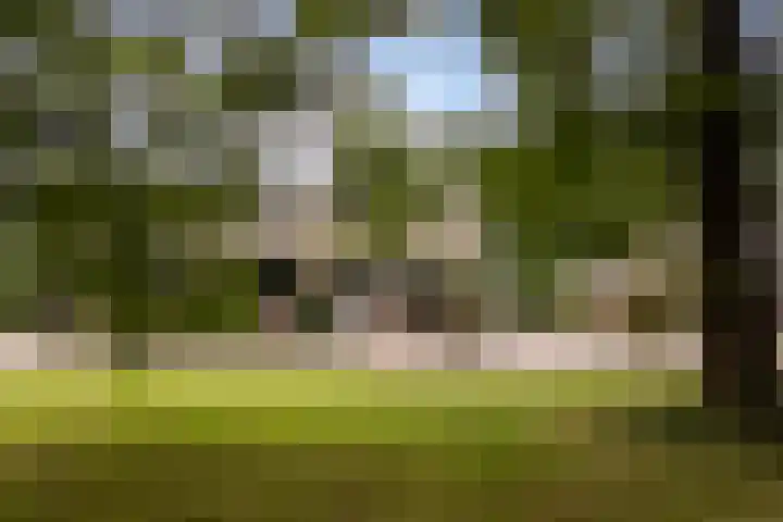 Dekamalaan 10 Sneek thumbnail 50