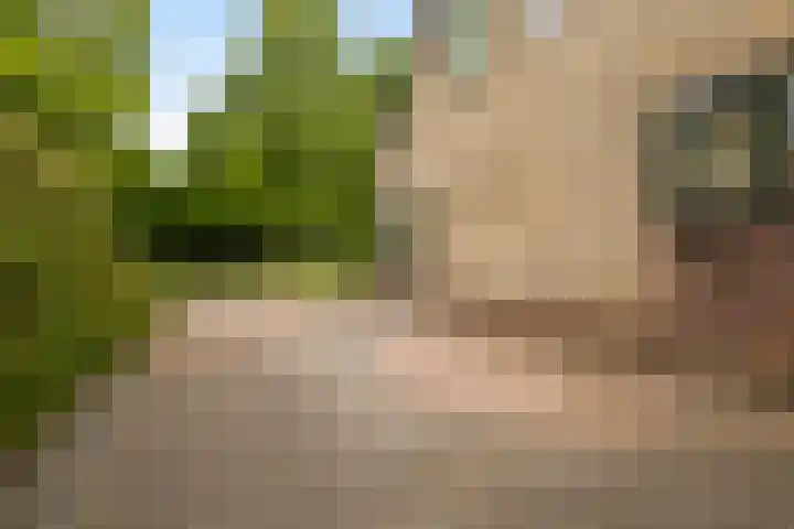 Dekamalaan 10 Sneek thumbnail 53