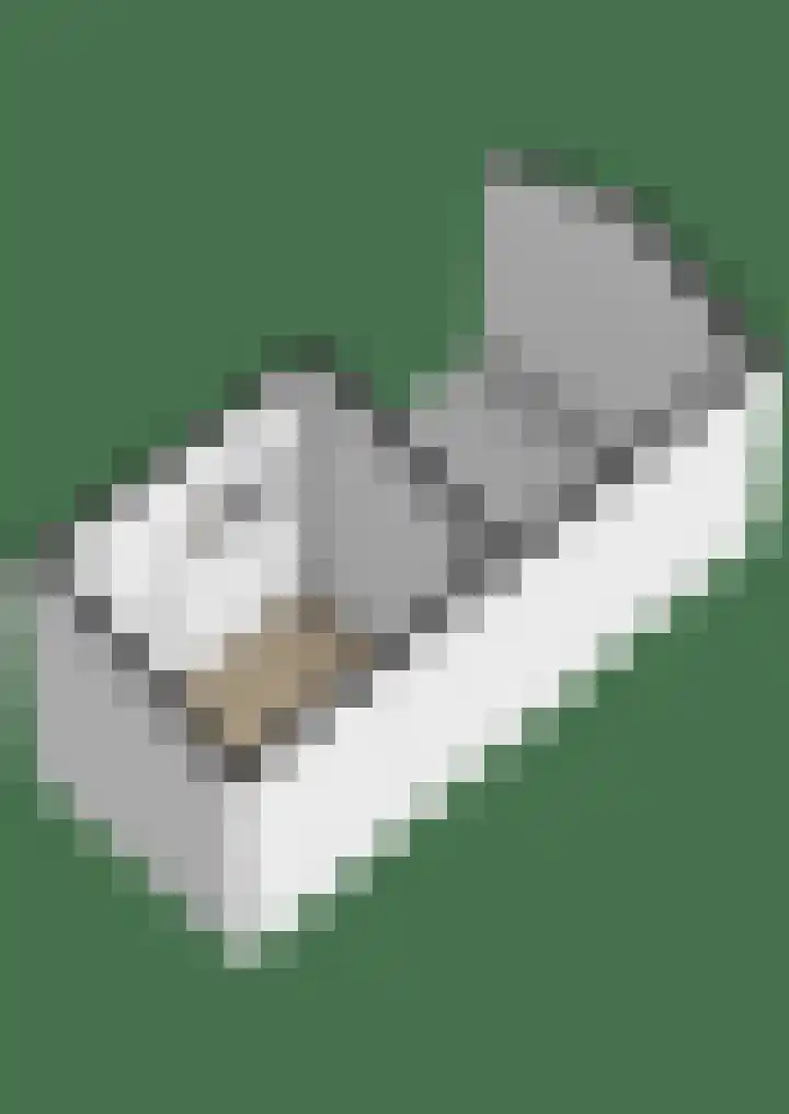 Dekamalaan 10 Sneek thumbnail 69
