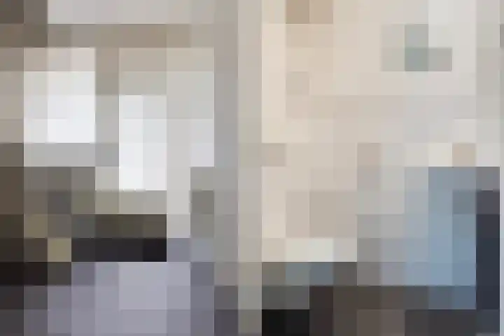 Dekamalaan 10 Sneek thumbnail 7