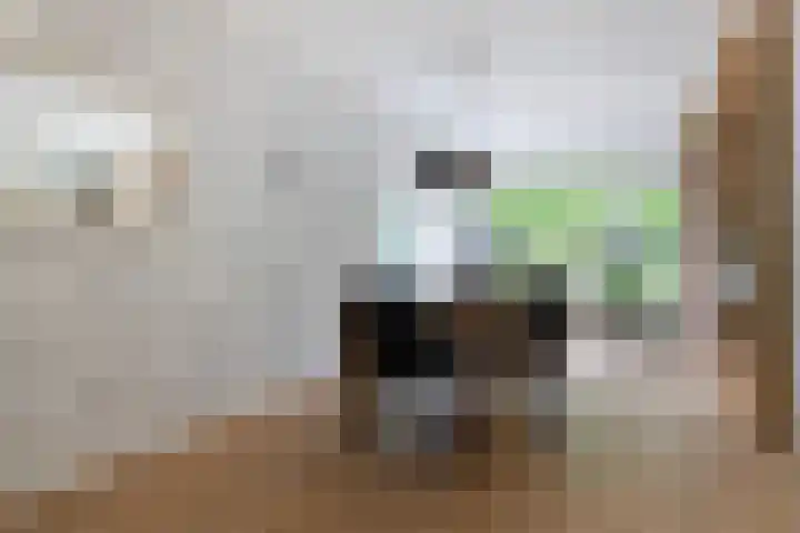 Dekamalaan 10 Sneek thumbnail 8