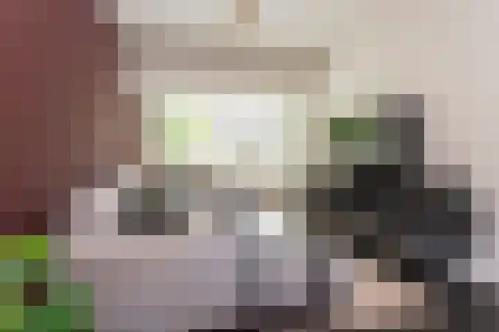 Deken Botsstraat 9 Tilburg thumbnail 12