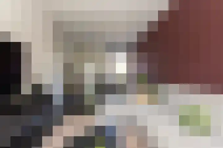 Deken Botsstraat 9 Tilburg thumbnail 13