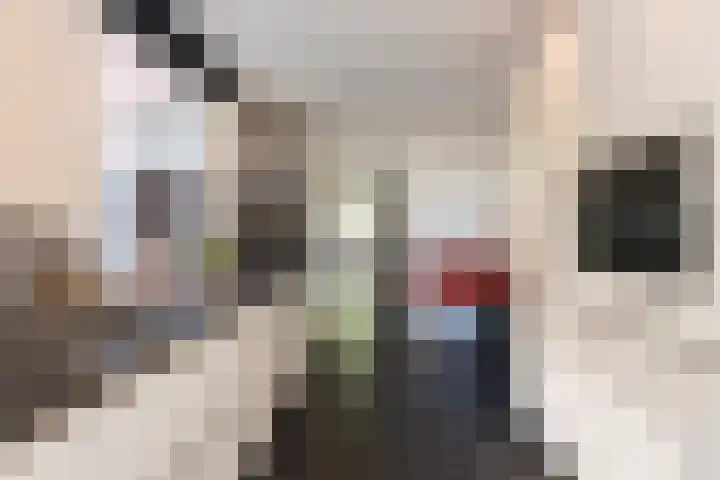 Deken Botsstraat 9 Tilburg thumbnail 17