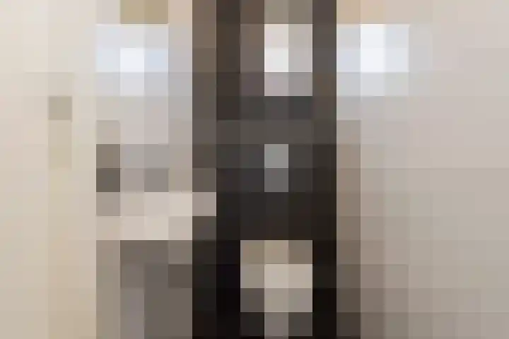 Deken Botsstraat 9 Tilburg thumbnail 18