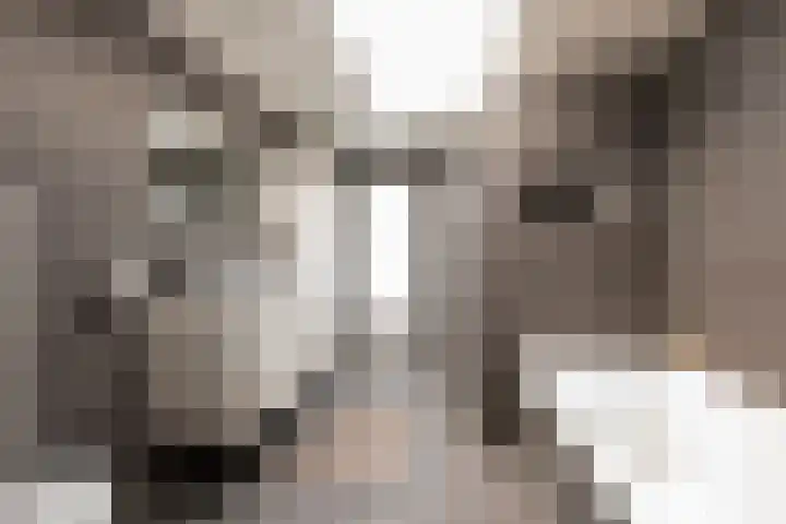 Deken Botsstraat 9 Tilburg thumbnail 24