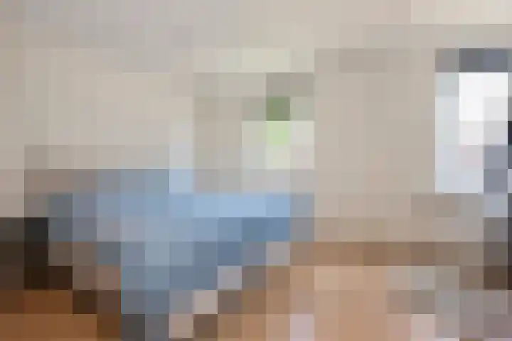 Deken Botsstraat 9 Tilburg thumbnail 26