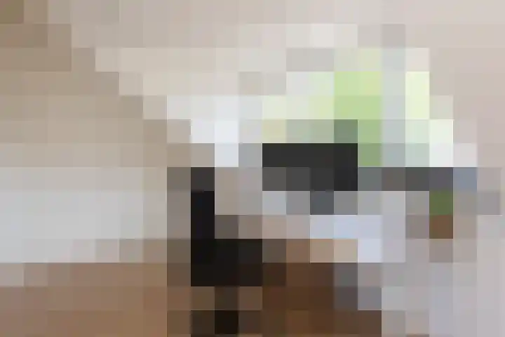 Deken Botsstraat 9 Tilburg thumbnail 30