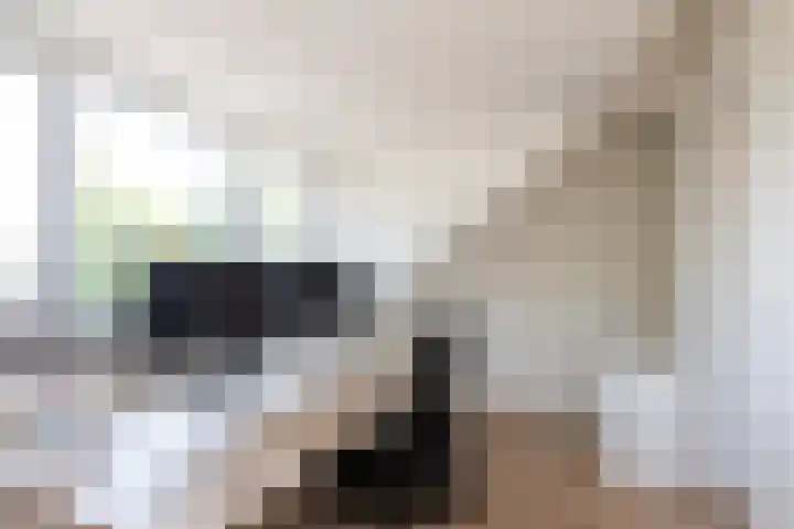 Deken Botsstraat 9 Tilburg thumbnail 31