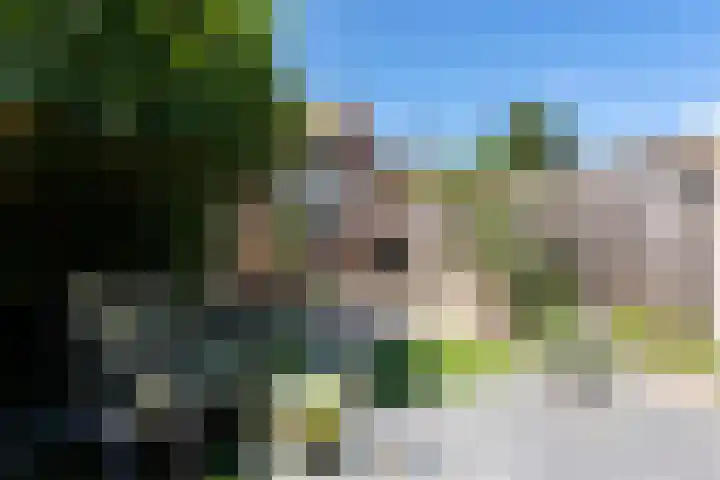 Deken Botsstraat 9 Tilburg thumbnail 36