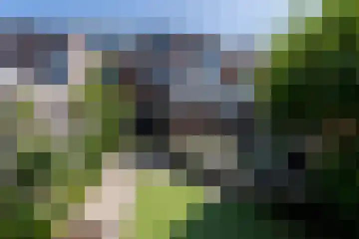 Deken Botsstraat 9 Tilburg thumbnail 38