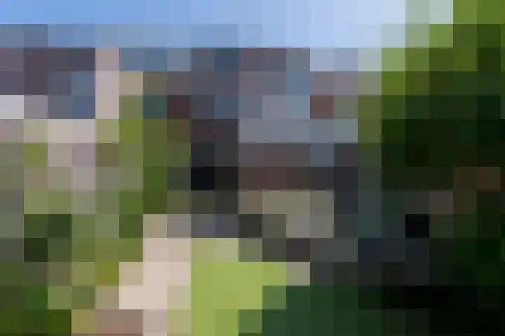 Deken Botsstraat 9 Tilburg thumbnail 5