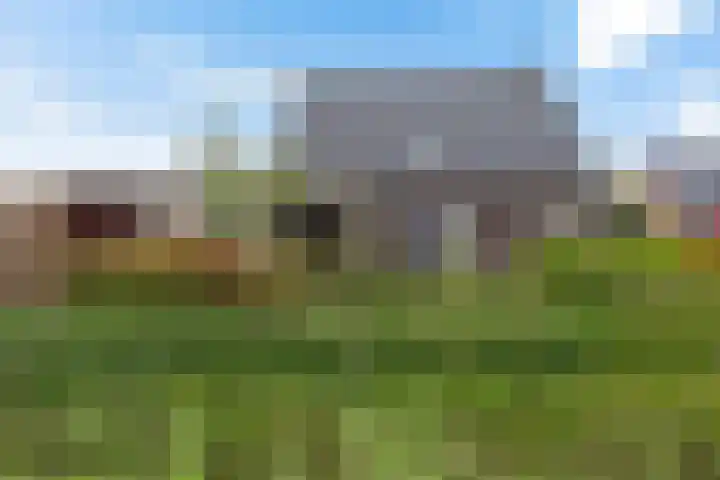 Dekenskamp 1 Wirdum thumbnail 13