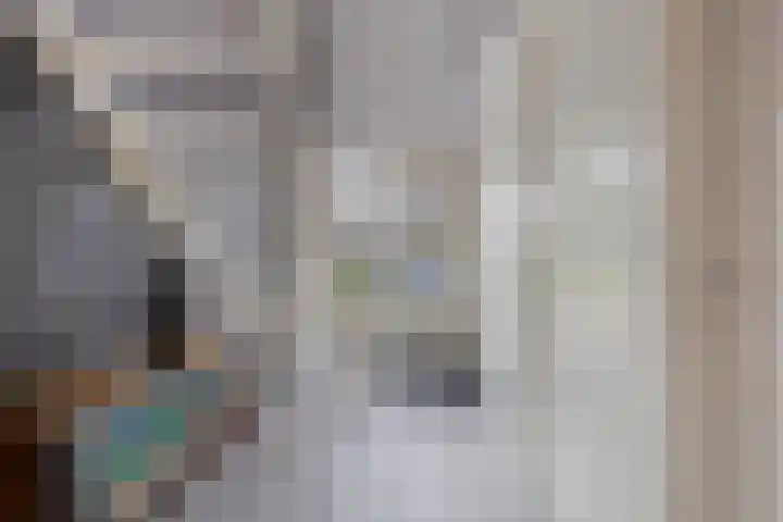 Dekenskamp 1 Wirdum thumbnail 14