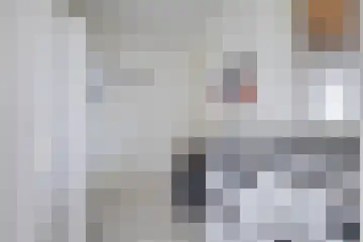 Dekenskamp 1 Wirdum thumbnail 18