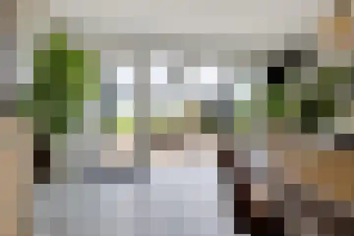 Dekenskamp 1 Wirdum foto 2