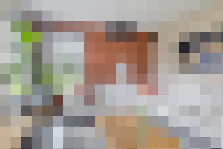 Dekenskamp 1 Wirdum thumbnail 20