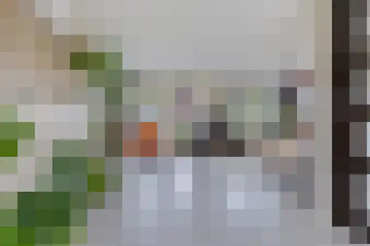 Dekenskamp 1 Wirdum thumbnail 21