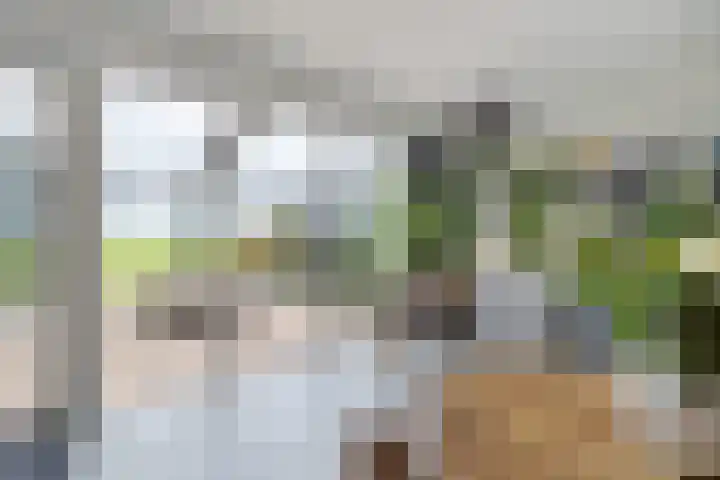 Dekenskamp 1 Wirdum thumbnail 28