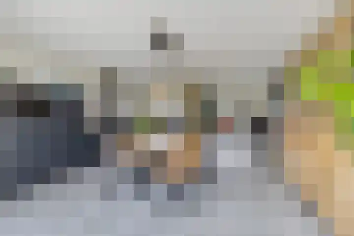 Dekenskamp 1 Wirdum thumbnail 29