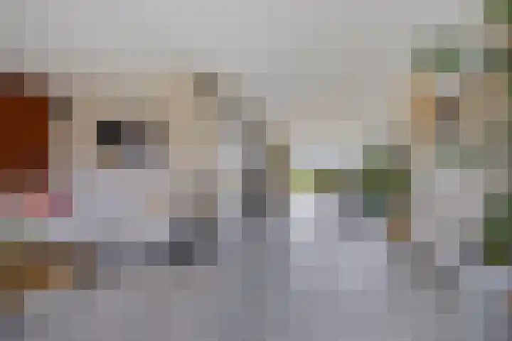 Dekenskamp 1 Wirdum thumbnail 31