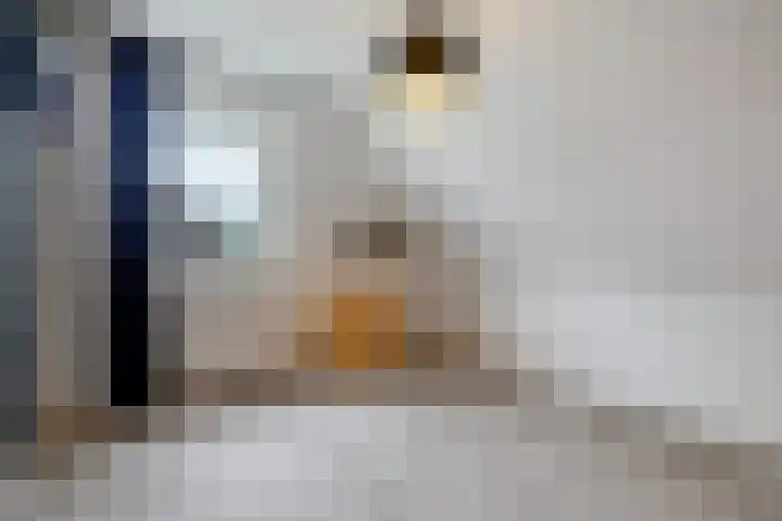 Dekenskamp 1 Wirdum thumbnail 33