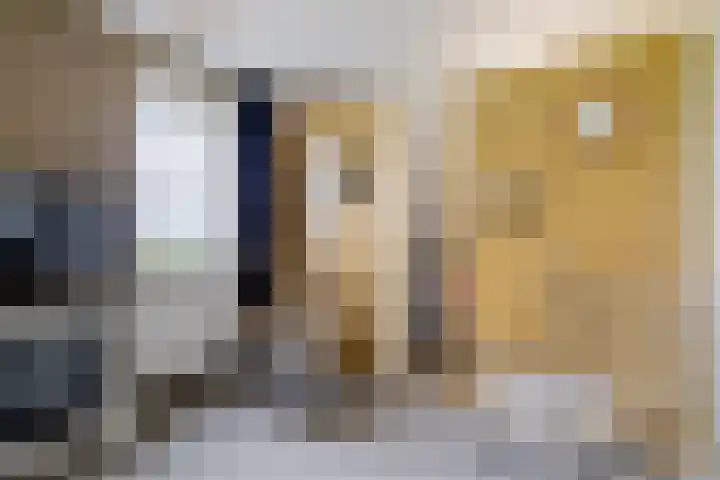 Dekenskamp 1 Wirdum thumbnail 35