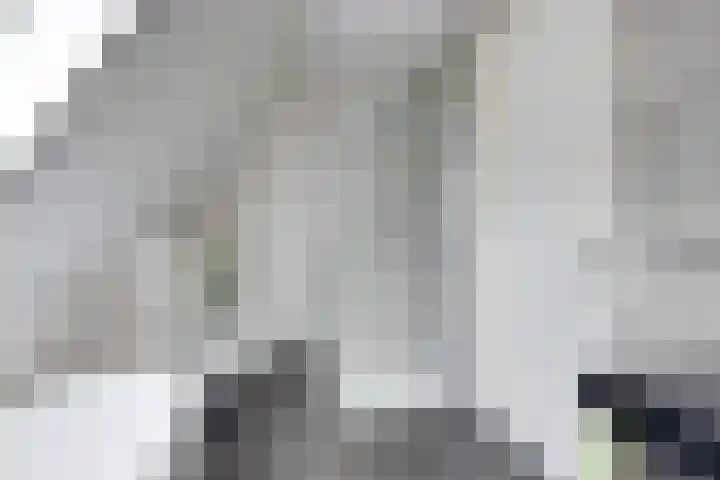 Dekenskamp 1 Wirdum thumbnail 37