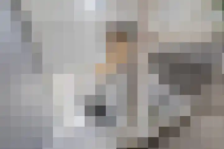 Dekenskamp 1 Wirdum thumbnail 38