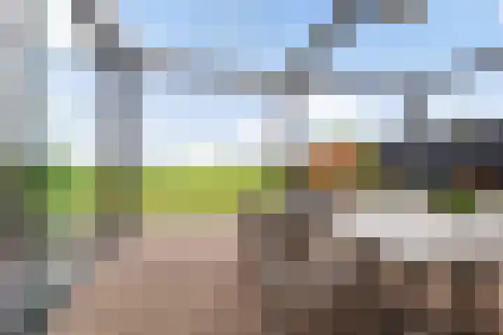 Dekenskamp 1 Wirdum thumbnail 4