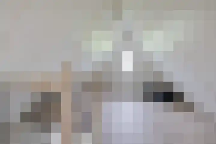 Dekenskamp 1 Wirdum thumbnail 42