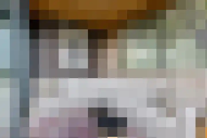 Dekenskamp 1 Wirdum thumbnail 44