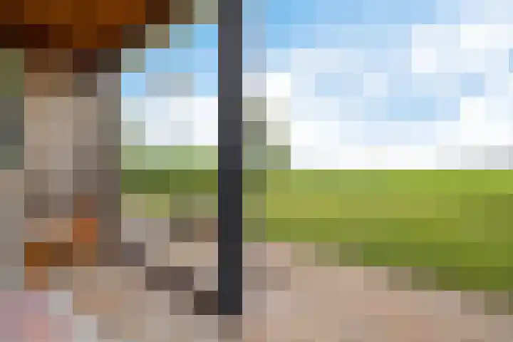 Dekenskamp 1 Wirdum thumbnail 47