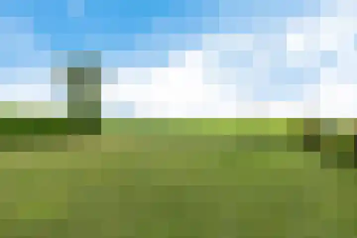 Dekenskamp 1 Wirdum thumbnail 48